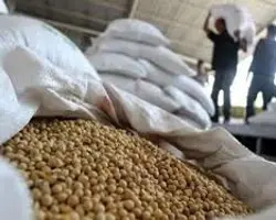سویا اتکاخرمشهر درجه یک 