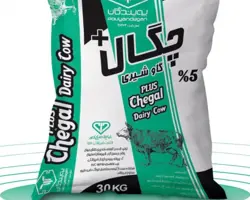 چگال پلاس گاو شیری 5%