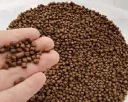 خوراک آغازین ماهی سی باس(SB-300C-3)