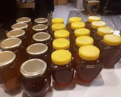 عسل تغذیه ای با کمترین ساکارز