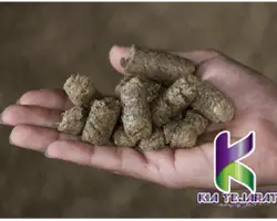  تفاله چغندر قند