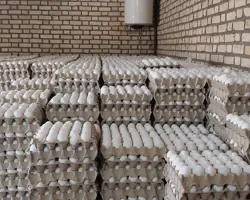 تخم مرغ صادراتی 