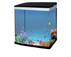 آکواریوم بدون پایه