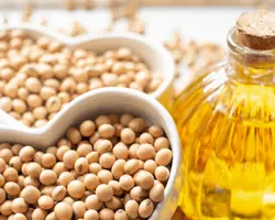روغن فله تصفیه سویا