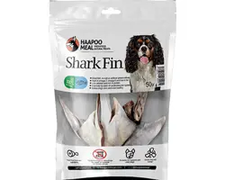  باله کوسه Shark fin