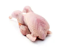 گوشت گرم و منجمد کبک