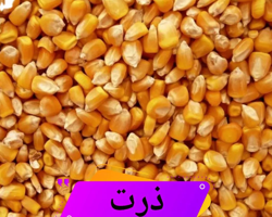 ذرت داخلی و وارداتی