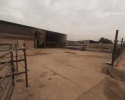 اجاره گاوداری 3000متری 