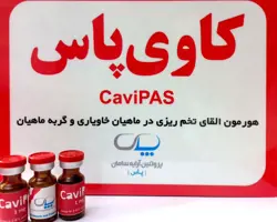 کاوی پاس