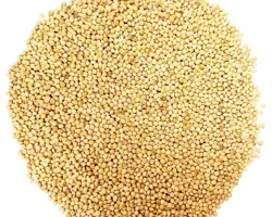 ارزن ریز