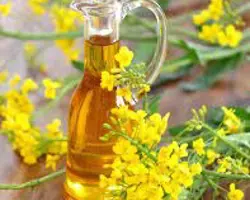 روغن کلزا