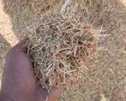 کاه خرد شده