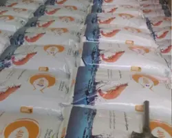 خوراک پرواری ماهی خاویاری(GFS1)