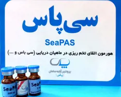 سی پاس
