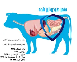 مخمر هیدرولیز شده ساکارومایسس سروزیه خالص