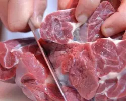 گوشت لخم بچه شتر آسایش