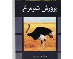 پرورش شتر مرغ