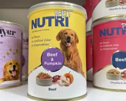 کنسرو سگ نوتری پت مدل Beef &amp; Pumpkin
