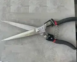 قیچی پشمچینی تایوانی