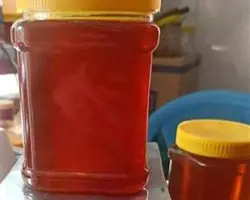 شهد گون 