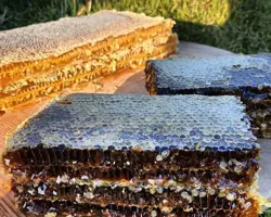 عسل خارشتر موم دار(1 کیلویی)