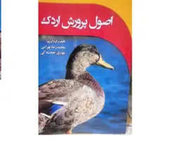 اصول پرورش اردک