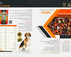 تردین قرمز سفید