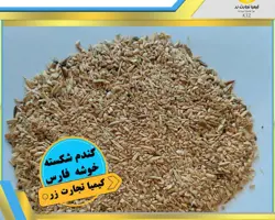 گندم شکسته 