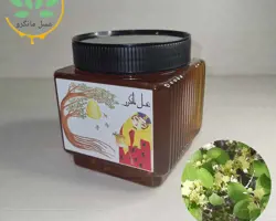 عسل کنار طبیعی (عسل سدر )
