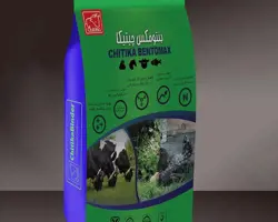 بنتومکس چیتیکا (مونت موریلوینت)