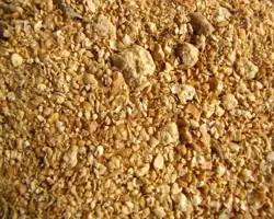 سویا نیشابور 12 تنی