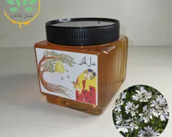 عسل گشنیز طبیعی