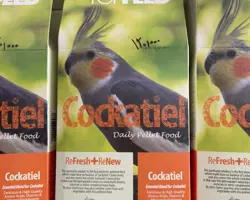 دان ویژه عروس هلندی تاپ فید مدل Cockatiels Nuts وزن 1 کیلوگرم