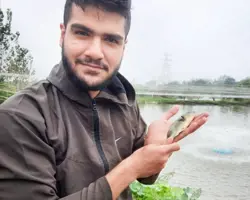 استخر ماهی کپور