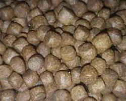 خوراک ماهی کپور (ماهیان گرمابی)