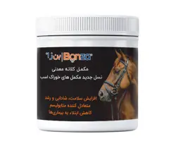 مکمل خوراک اسب بن زا هورس