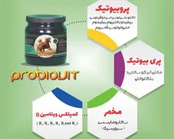  مکمل پروبیوتیک پروبیوویت