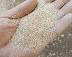 سبوس  برنج