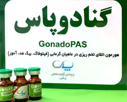 گنادوپاس