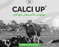 بلوس کلسیمی کلسی آپ
