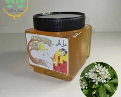 عسل مرکبات طبیعی ( بهار نارنج )