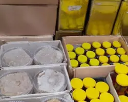 عسل گون مخصوص بیماران دیابتی