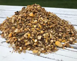 خوراک دام پرواری گاومیش