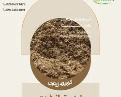 کنجاله زیتون