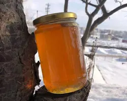 عسل شهد چهل گیاه(1 کیلو گرم)