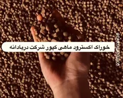 خوراک پرواری ماهی کپور(تیپ B) / (GFC3B)
