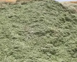 یونجه درجه یک 