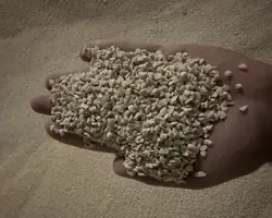 کربنات کلسیم