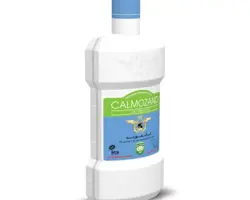 کالموزند – Calmozand