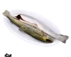 قزل آلا سایز